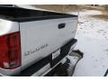 2003 Bright Silver Metallic Dodge Ram 1500 ST Regular Cab 4x4  photo #14