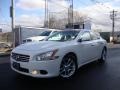 Winter Frost White - Maxima 3.5 SV Photo No. 1