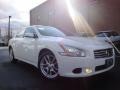 Winter Frost White - Maxima 3.5 SV Photo No. 2