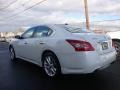 Winter Frost White - Maxima 3.5 SV Photo No. 4