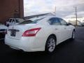 Winter Frost White - Maxima 3.5 SV Photo No. 5