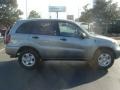 Everglade Metallic - RAV4  Photo No. 6