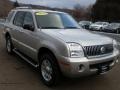 Silver Birch Metallic - Mountaineer V8 Premier AWD Photo No. 4