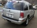 Silver Birch Metallic - Mountaineer V8 Premier AWD Photo No. 7
