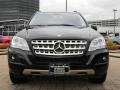 Black - ML 350 Photo No. 2