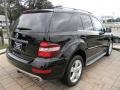 Black - ML 350 Photo No. 5