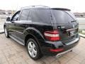 Black - ML 350 Photo No. 8