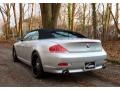Titanium Silver Metallic - 6 Series 645i Convertible Photo No. 5