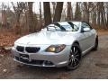 Titanium Silver Metallic - 6 Series 645i Convertible Photo No. 29