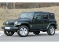 2010 Natural Green Pearl Jeep Wrangler Unlimited Sahara 4x4  photo #5