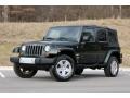 2010 Natural Green Pearl Jeep Wrangler Unlimited Sahara 4x4  photo #53