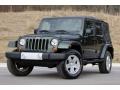 Natural Green Pearl 2010 Jeep Wrangler Unlimited Sahara 4x4 Exterior