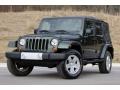 2010 Natural Green Pearl Jeep Wrangler Unlimited Sahara 4x4  photo #54