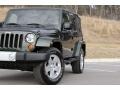 2010 Natural Green Pearl Jeep Wrangler Unlimited Sahara 4x4  photo #55