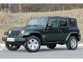 2010 Natural Green Pearl Jeep Wrangler Unlimited Sahara 4x4  photo #56