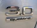 Light Silver Metallic - A6 3.0 quattro Sedan Photo No. 50