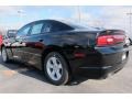 Pitch Black - Charger SE Photo No. 3