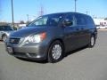 Nimbus Gray Metallic - Odyssey LX Photo No. 1