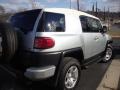 Titanium Metallic - FJ Cruiser 4WD Photo No. 10