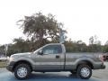 Sterling Gray Metallic 2012 Ford F150 XL Regular Cab Exterior