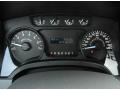 Steel Gray Gauges Photo for 2012 Ford F150 #59637882