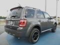 2012 Sterling Gray Metallic Ford Escape XLT Sport  photo #3