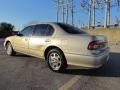 Sandrock Beige Metallic - I 30 Photo No. 2