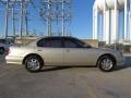 Sandrock Beige Metallic - I 30 Photo No. 4