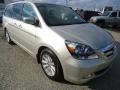 Silver Pearl Metallic - Odyssey Touring Photo No. 4