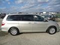 Silver Pearl Metallic - Odyssey Touring Photo No. 6