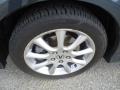 Carbon Gray Pearl - TSX Sedan Photo No. 32