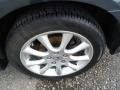Carbon Gray Pearl - TSX Sedan Photo No. 34