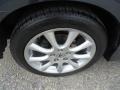 Carbon Gray Pearl - TSX Sedan Photo No. 37