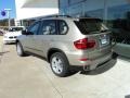 Platinum Bronze Metallic - X5 xDrive35i Sport Activity Photo No. 3