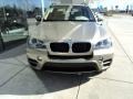 Platinum Bronze Metallic - X5 xDrive35i Sport Activity Photo No. 5