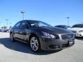 Dark Slate - Maxima 3.5 SV Sport Photo No. 3
