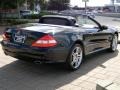 2008 Black Mercedes-Benz SL 550 Roadster  photo #4