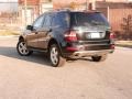 2009 Obsidian Black Metallic Mercedes-Benz ML 350 4Matic  photo #3