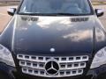 2009 Obsidian Black Metallic Mercedes-Benz ML 350 4Matic  photo #15