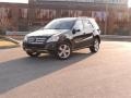 2009 Obsidian Black Metallic Mercedes-Benz ML 350 4Matic  photo #33