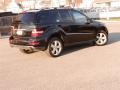 Obsidian Black Metallic - ML 350 4Matic Photo No. 35