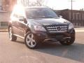 2009 Obsidian Black Metallic Mercedes-Benz ML 350 4Matic  photo #38