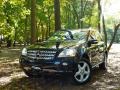 Black - ML 350 4Matic Photo No. 3