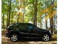 Black - ML 350 4Matic Photo No. 10