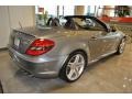 Palladium Silver Metallic - SLK 55 AMG Roadster Photo No. 3