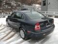 2004 Blue Graphite Metallic Volkswagen Passat GLS 4Motion Sedan  photo #9