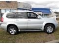 2006 Titanium Metallic Lexus GX 470  photo #4