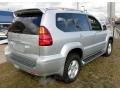 2006 Titanium Metallic Lexus GX 470  photo #6
