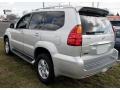 2006 Titanium Metallic Lexus GX 470  photo #10