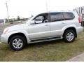 2006 Titanium Metallic Lexus GX 470  photo #12